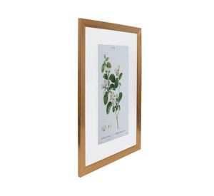 Cuadro planta Styrax 60x40x1.5 cm