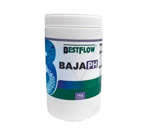 Baja PH piscina 1 kg