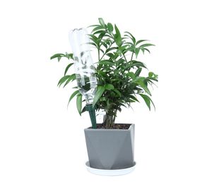 Estaca autorriego 4 unidades