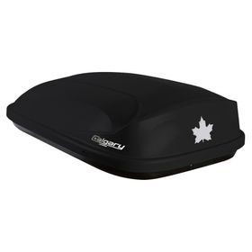 Caja portaequipaje 320 lt negro