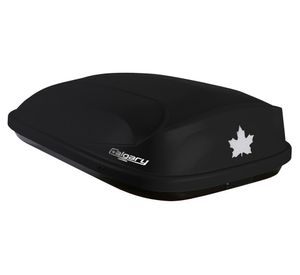 Caja portaequipaje 320 lt negro