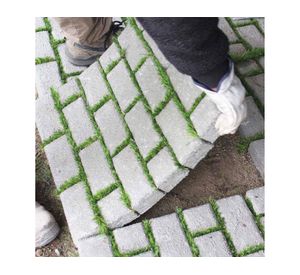 Adoquin Hilera Pasto 50x50x4.5 cm 1/4 pallet