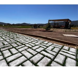 Adoquin Bloque Pasto 50x50x4.5 cm 1/2 pallet