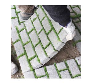 Adoquin Hilera Pasto 50x50x4.5 cm 1/2 pallet