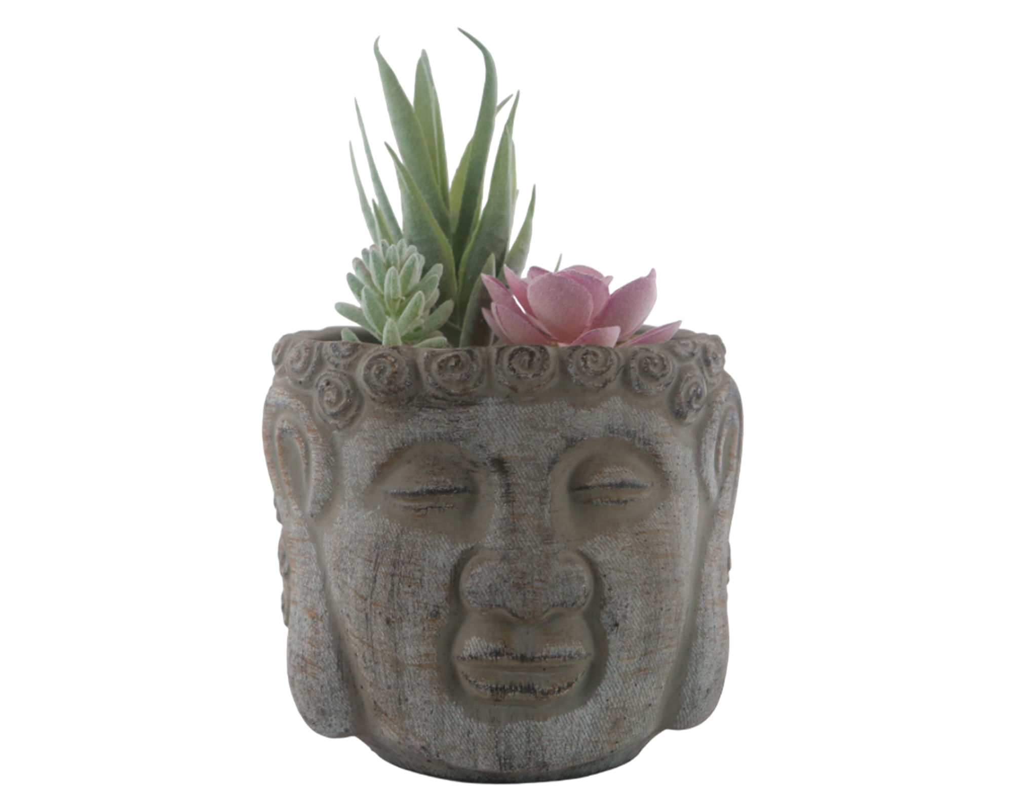 Suculenta maceta cemento Buda S 13 cm