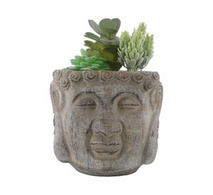 Suculenta maceta Buda S 13 cm