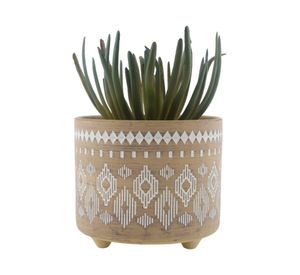 Maceta planta P1 Bisonte 14 cm