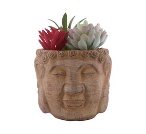 Suculenta maceta Buda beige S 13 cm