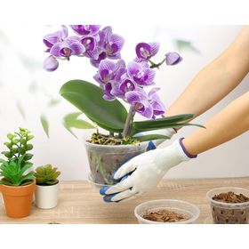 Macetero plástico Orquídea 11x15x17 cm