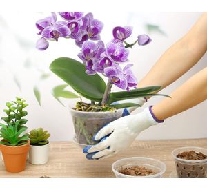 Macetero plástico Orquídea 11x15x17 cm
