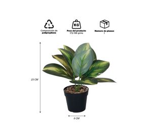 Planta Artificial Calathea 23x9 cm
