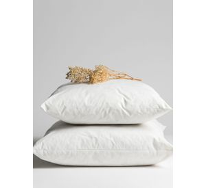 Relleno Cojin 30X50 Amoblé