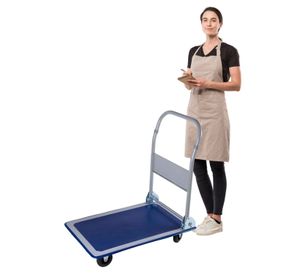 Carro de Acero para 150 kg. Plegable. 72x47 cm.