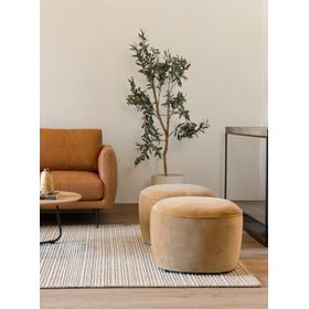 Pouf Lazario Velvet Pardo