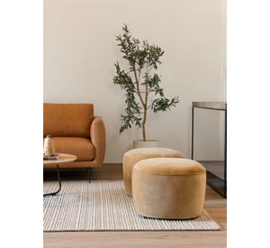 Pouf Lazario Velvet Pardo