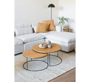 Mesa De Centro Nido Salem