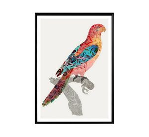 Canvas con marco pájaros D1 R2 50x70 cm