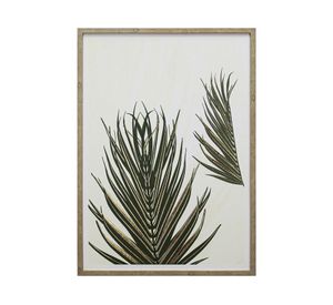 Canvas con marco hojas palmas D1 R3 50x70 cm
