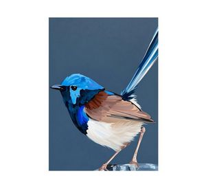 Canvas smarco pájaro D2 R2 50x70 cm