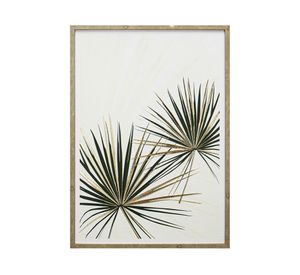 Canvas con marco hojas palmas D2 R3 50x70 cm