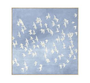 Canvas con marco pájaros R2 70x70 cm