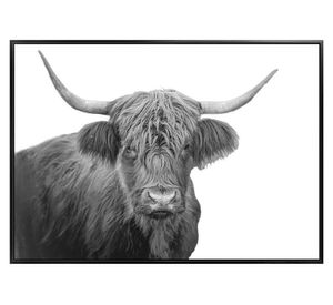 Canvas con marco toro R3 50x70 cm