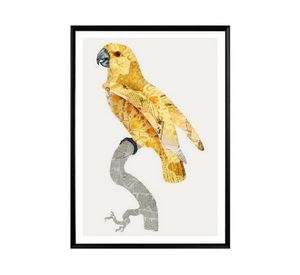 Canvas con marco pájaros D2 R2 50x70 cm