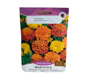 Semilla corriente Marigold Bonita 3 gr