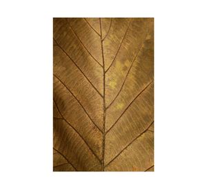 Fotografía enmarcada 40x60 cm natural D2 R4