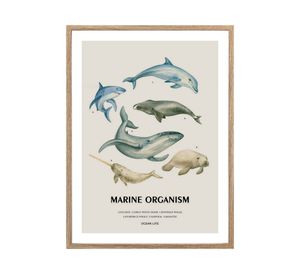 Lámina enmarcada 30x40 cm marino D2 R3