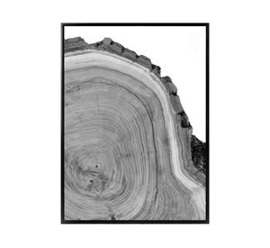 Fotografía enmarcada 45x60 cm tronco D2 R4
