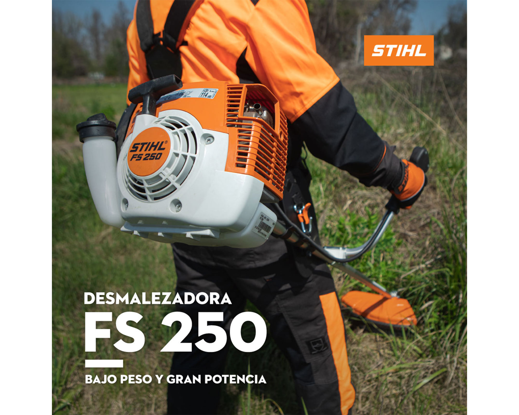 Desmalezadora 2.2 HP 40.2 cc FS 250 | Easy.cl