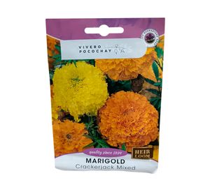 Semilla corriente Marigold Crackerjack 3 gr