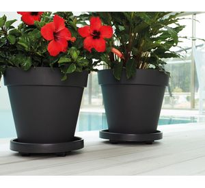 Plato con ruedas antracita 35 cm