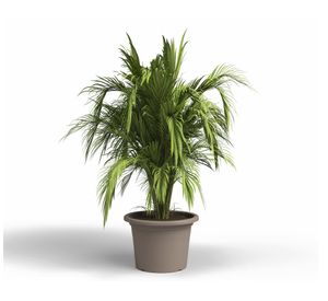 Maceta Venezia taupe 20 cm