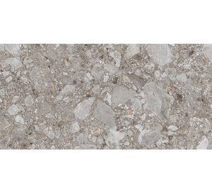 Porcelanato Petrus Pulido 60x120 cm 2.16 m2