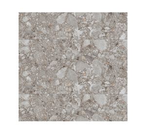 Porcelanato Petrus Pulido 60x120 cm 2.16 m2