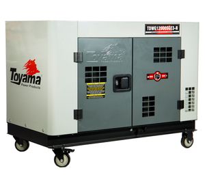 Generador diésel trifásico 794 cc TDWG12000SGE3-N
