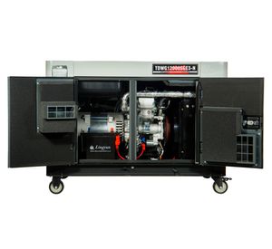 Generador diésel trifásico 794 cc TDWG12000SGE3-N