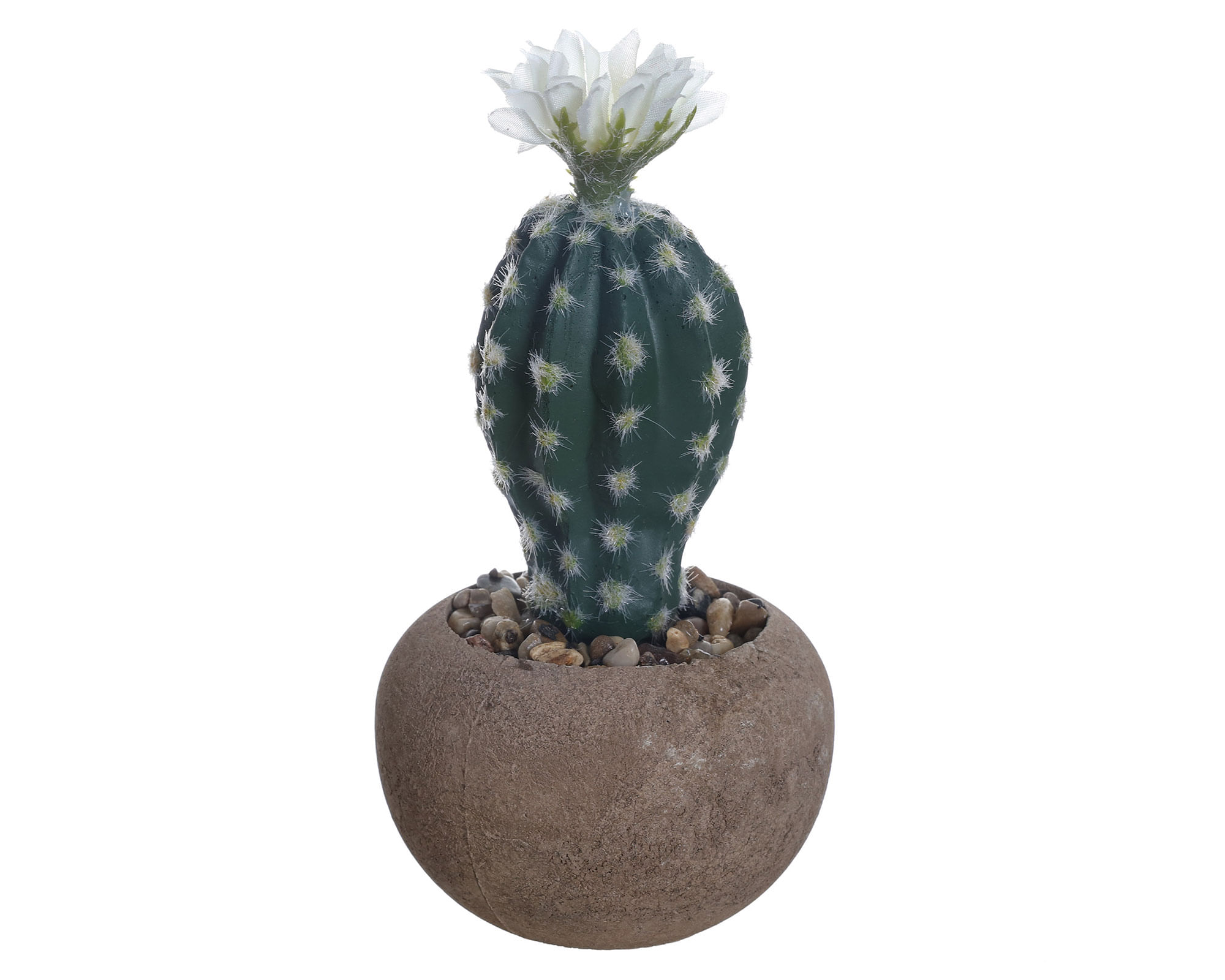 Cactus en maceta Look cemento redondo 9 cm