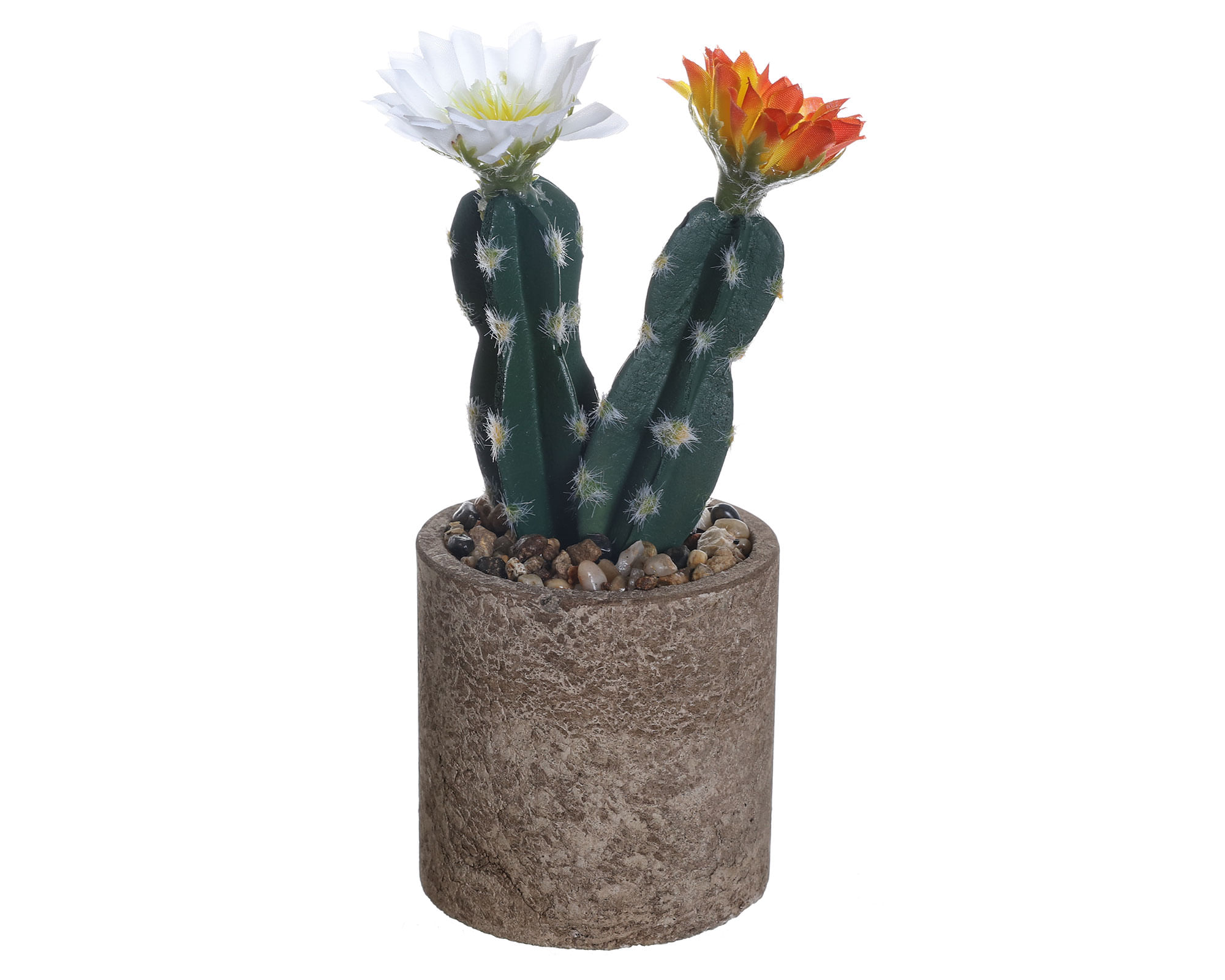Cactus en maceta Look cemento recto 8 cm