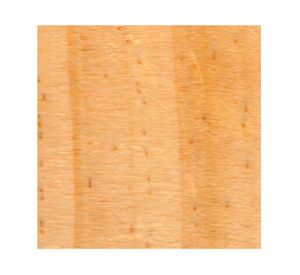Protector de madera Classic Woodstain cristal satín 3.785 lt