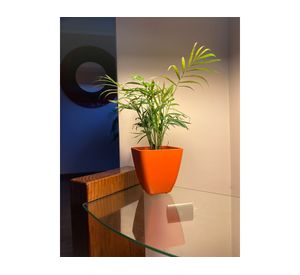 Set 2 maceteros Biodegradable Bamboo cuadrado naranjo