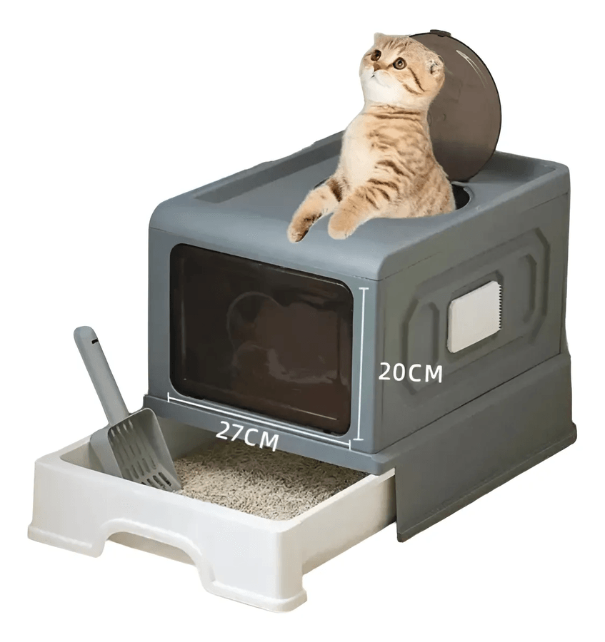 Arenero Extraible Bandeja Sanitaria Para Gatos Xl Baño Lindo Azul Menta