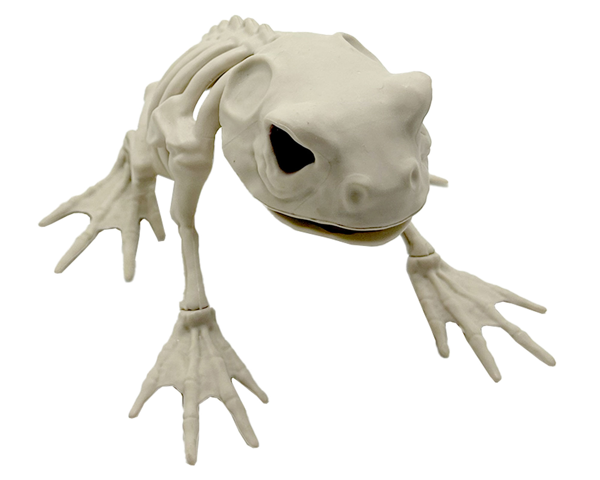 M+Design Esqueleto Sapo Halloween