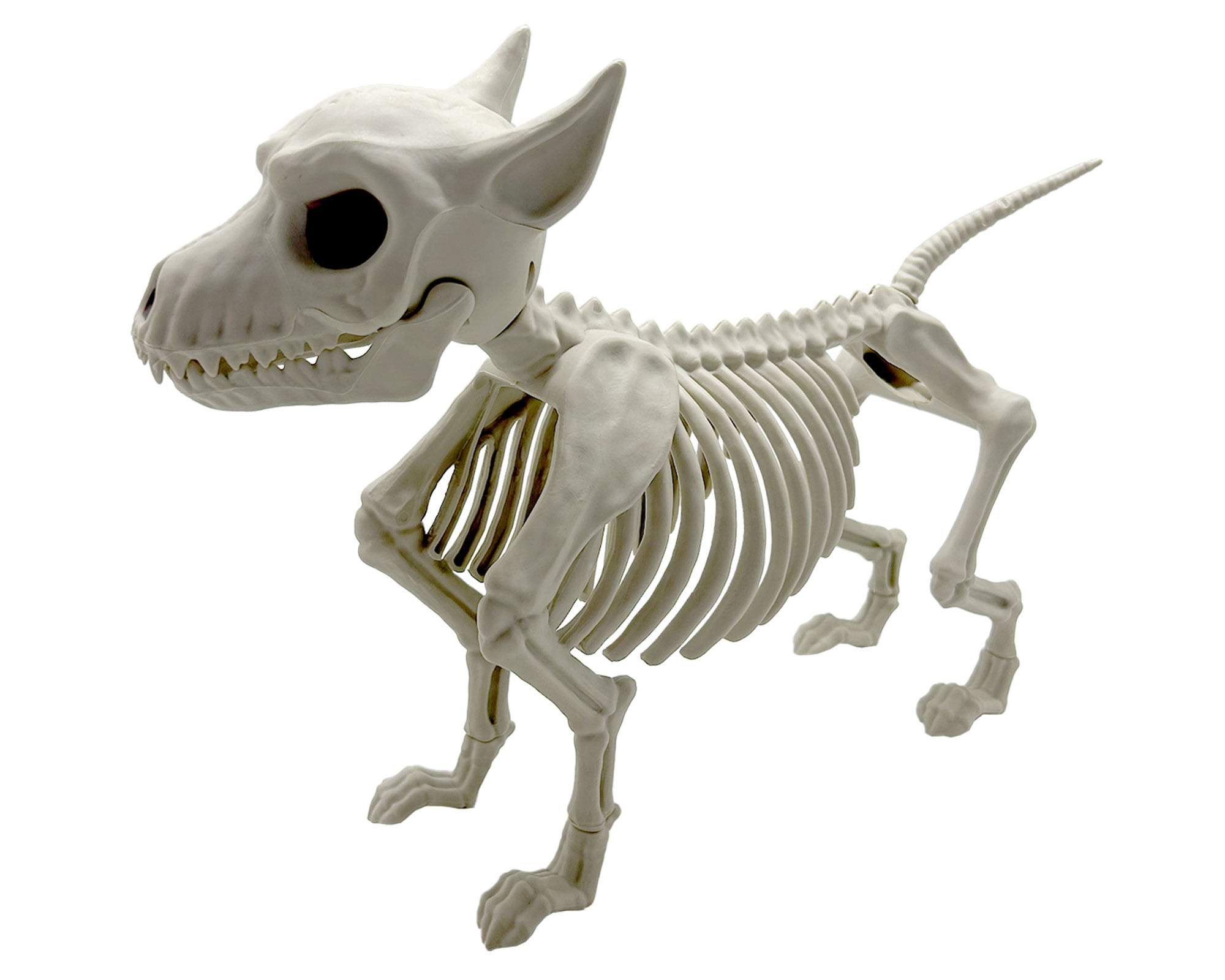 M+Design Esqueleto Perro Halloween