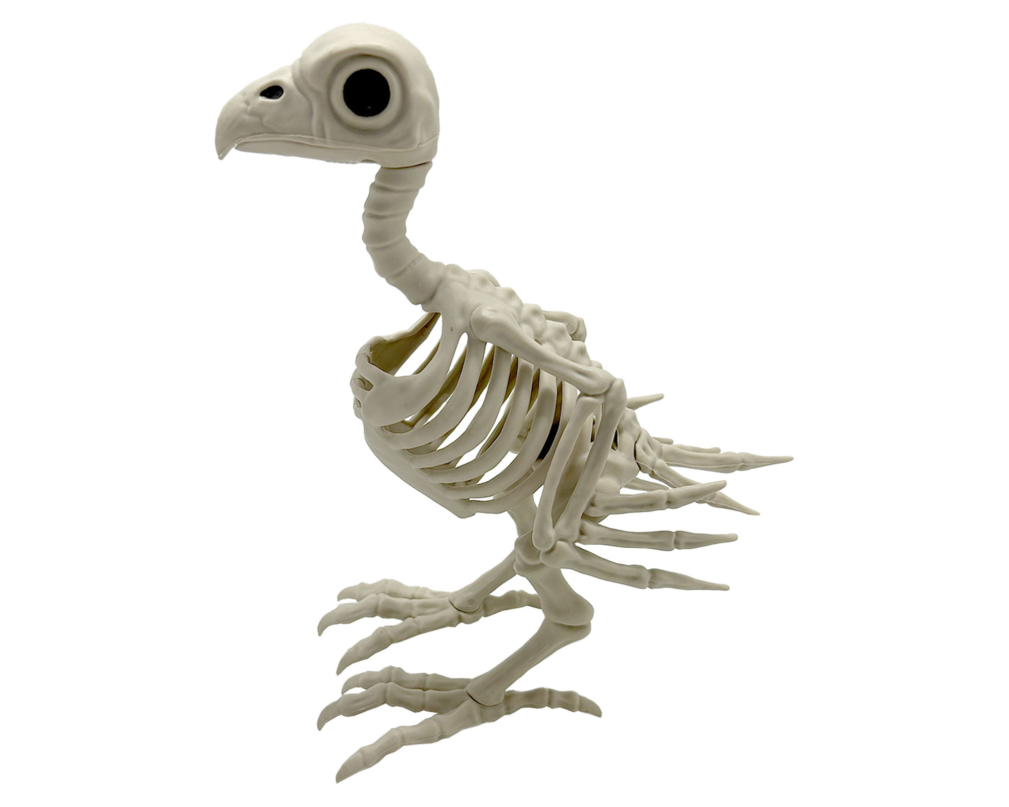 M+Design Esqueleto Pajaro Halloween