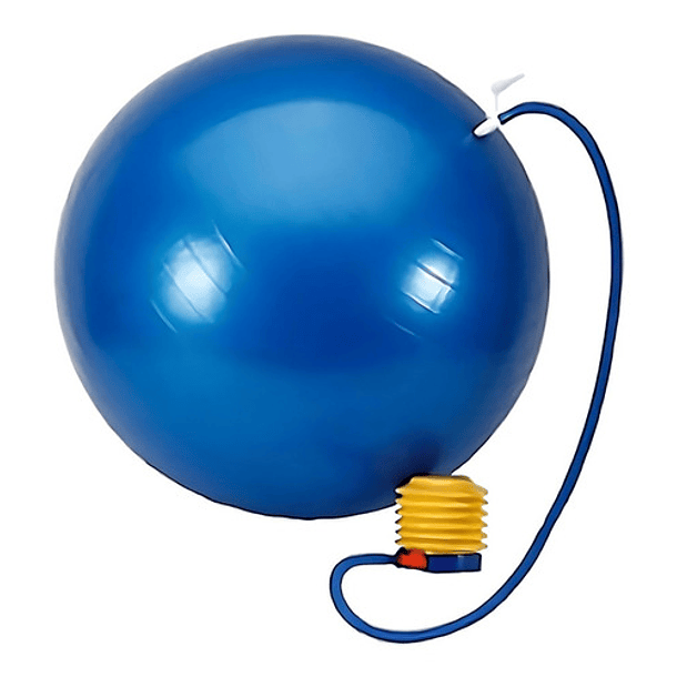 Pelota Balon Yoga 65 Cm Pilates Con Inflador a $7.990