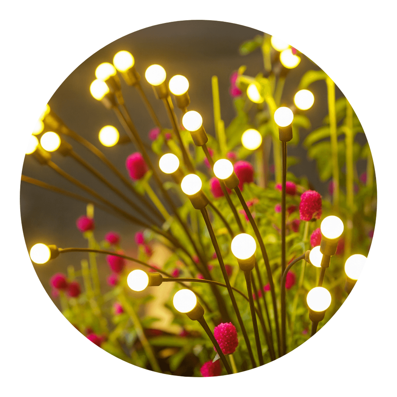Fliperex Set 2 Luces Solares Exterior Jardin Estaca Decorativa Led