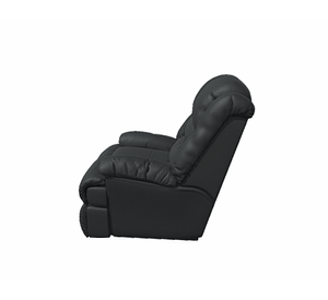 Berger Jarrie negro Rosen.